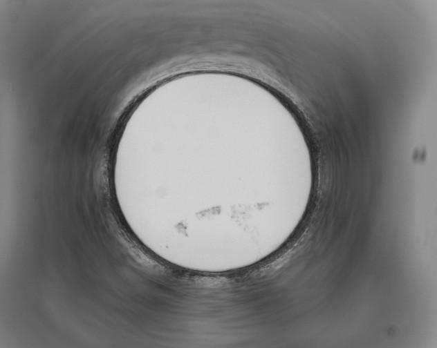 X0000096631498200802261152