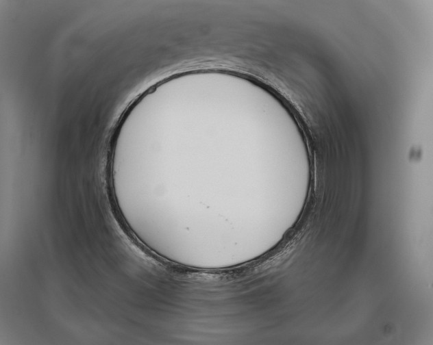 X0000096631500200802261152