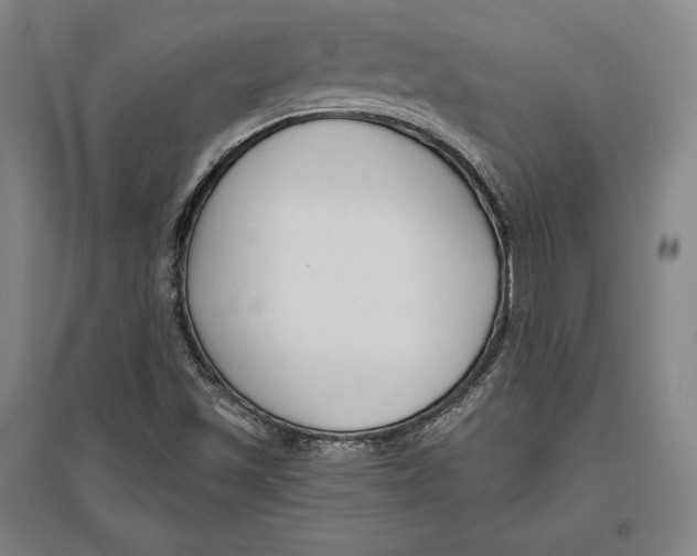 X0000096631501200802261152