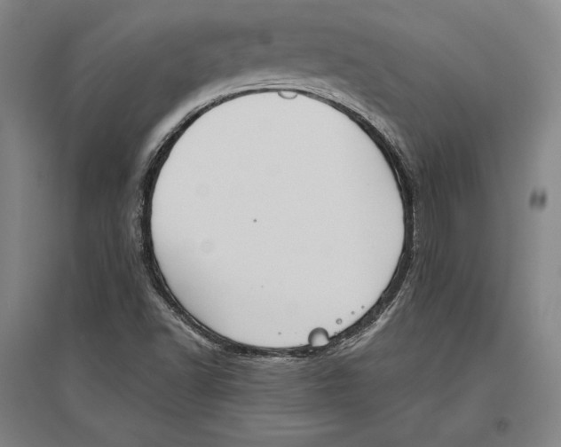 X0000096631502200802261152