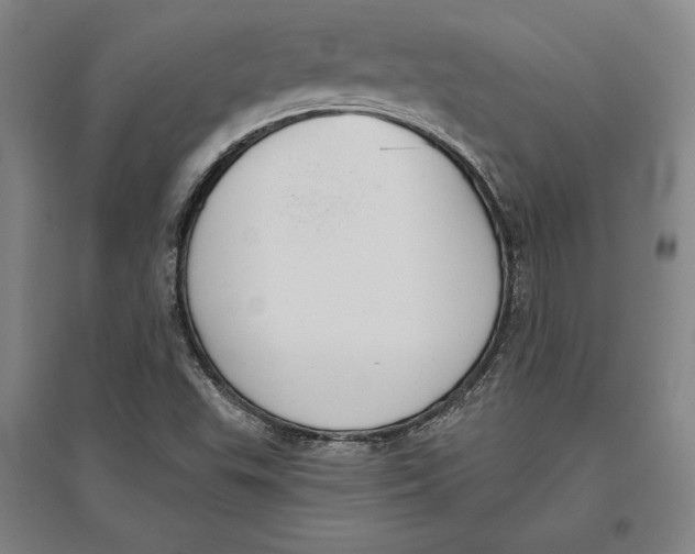 X0000096631503200802261152