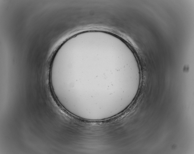 X0000096631504200802261152