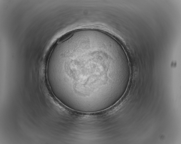 X0000096631506200802261152