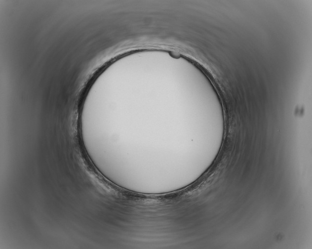 X0000096631507200802261152