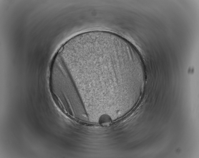 X0000096631508200802261152