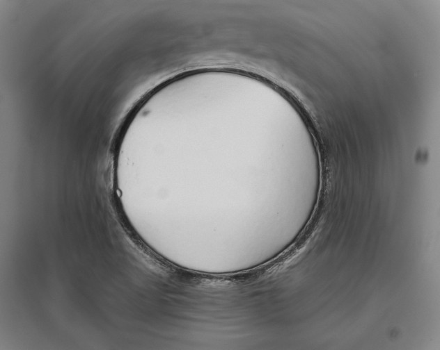 X0000096631509200802261152