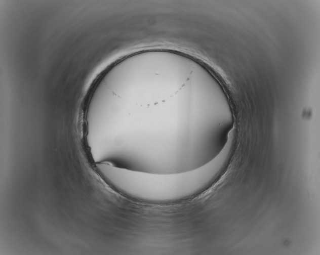 X0000096631510200802261152