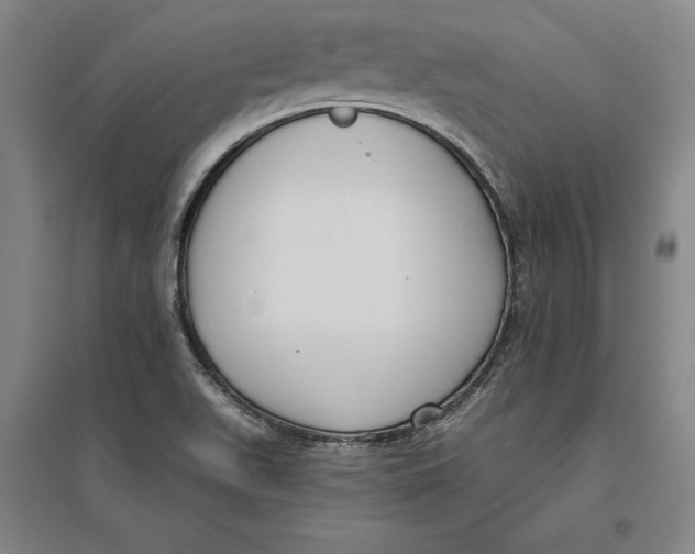 X0000096631511200802261152