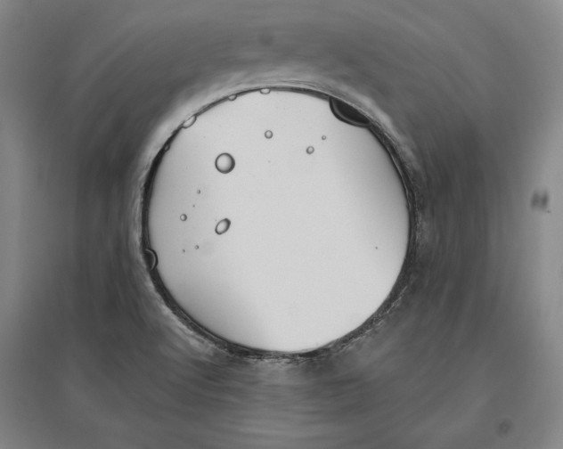 X0000096631512200802261152