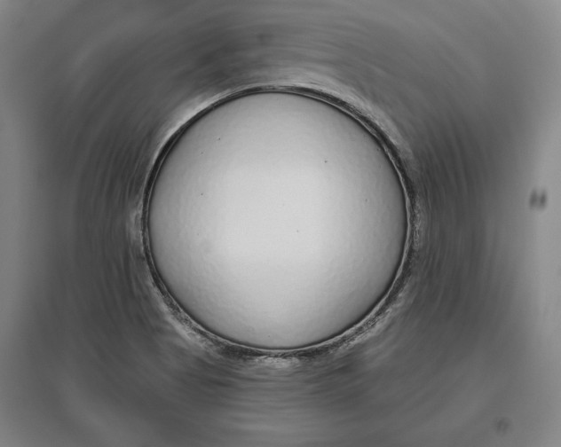 X0000096631513200802261152