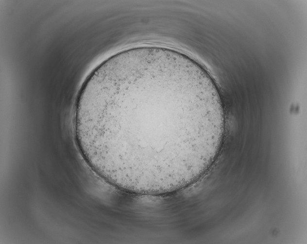 X0000096631514200802261152
