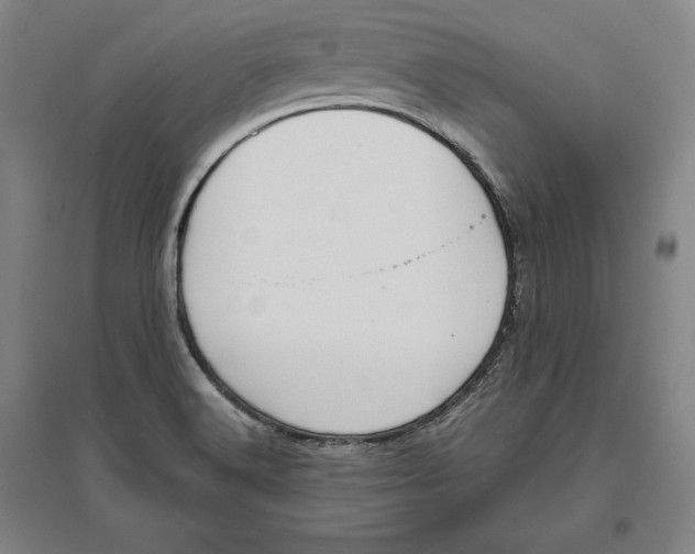 X0000096631516200802261152
