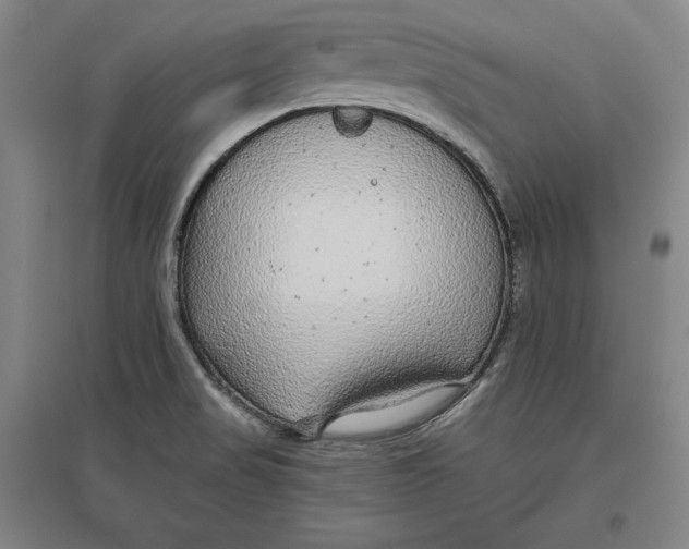 X0000096631517200802261152