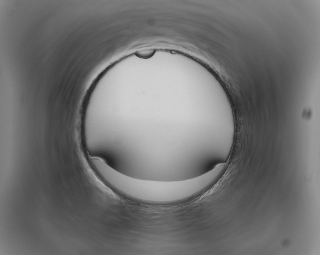 X0000096631518200802261152