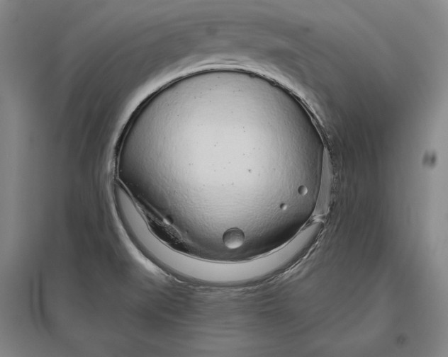 X0000096631519200802261152
