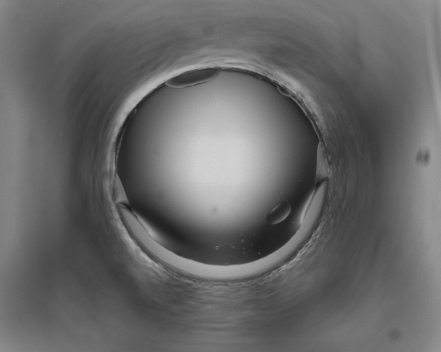 X0000096631520200802261153