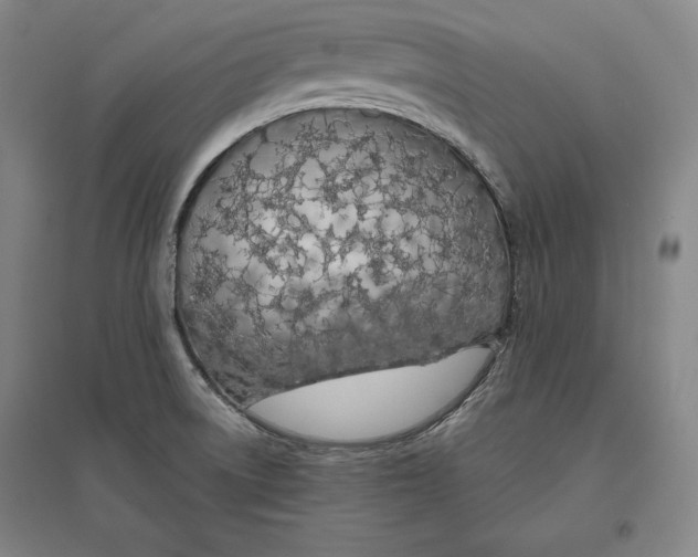 X0000096631522200802261153