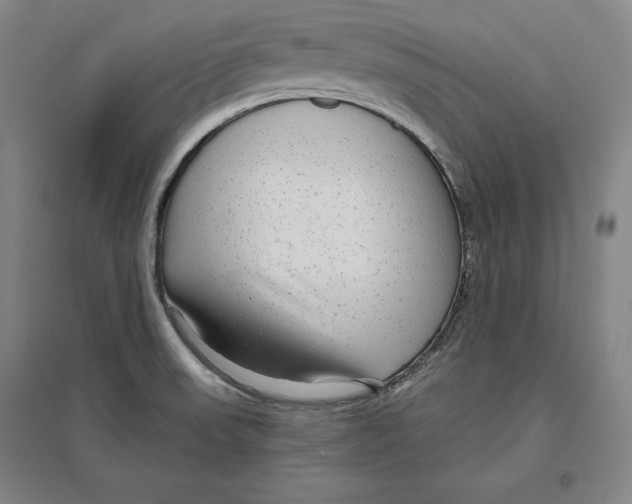 X0000096631523200802261153