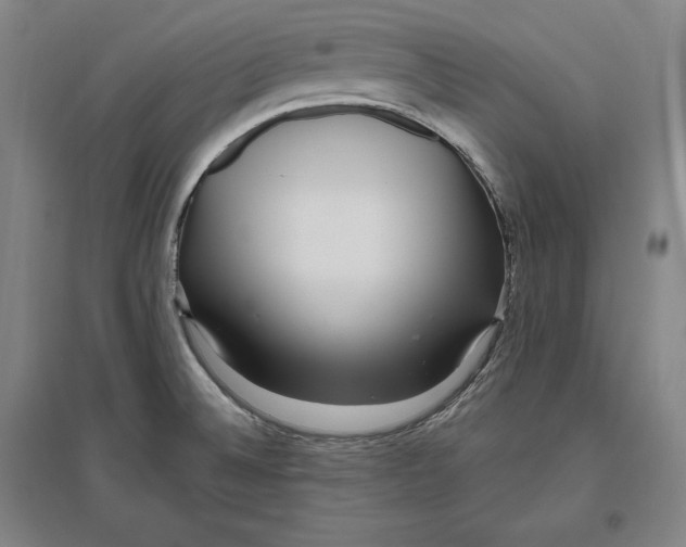 X0000096631524200802261153