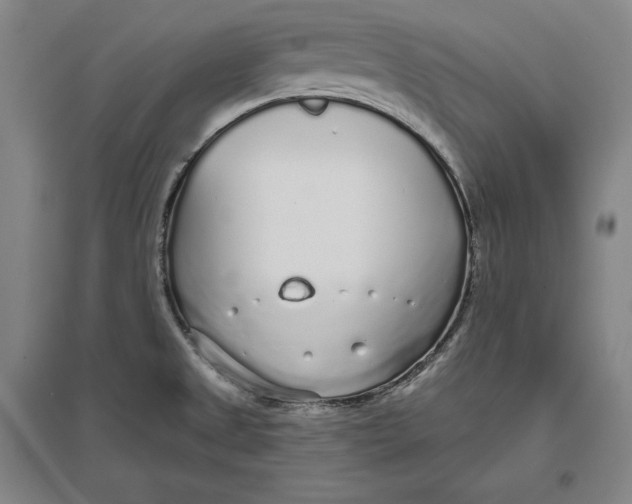 X0000096631525200802261153