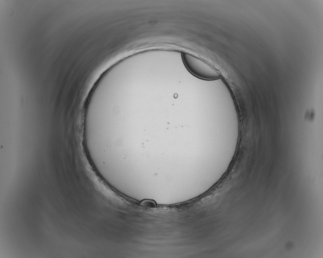 X0000096631526200802261153