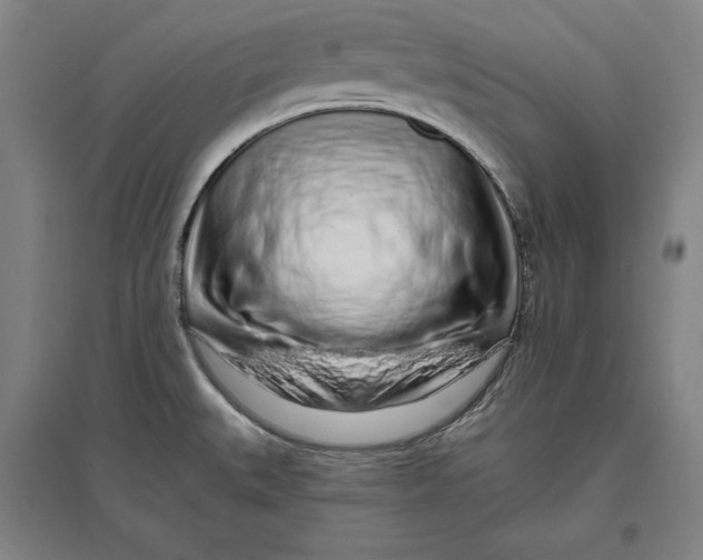 X0000096631527200802261153