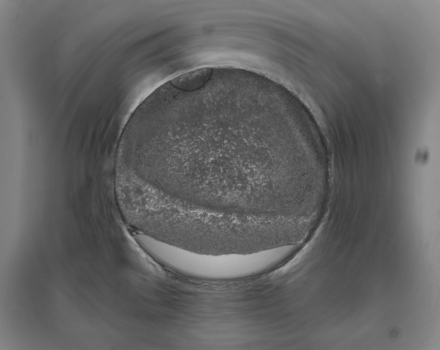X0000096631529200802261153