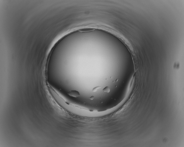 X0000096631530200802261153
