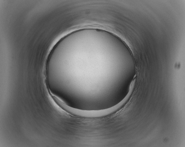 X0000096631531200802261153