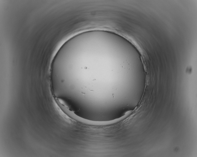 X0000096631532200802261153