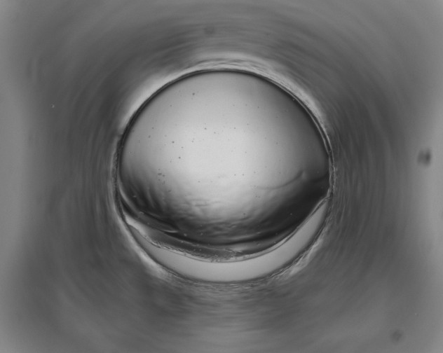 X0000096631533200802261153
