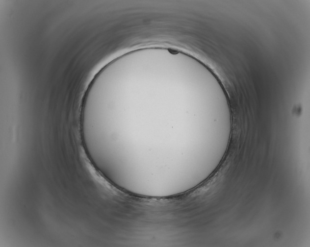X0000096631534200802261153