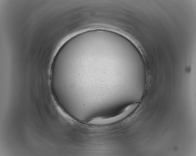 X0000096631535200802261153