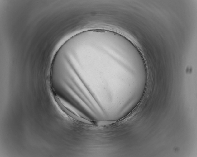 X0000096631536200802261153