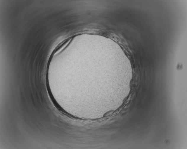 X0000096630003200803041114