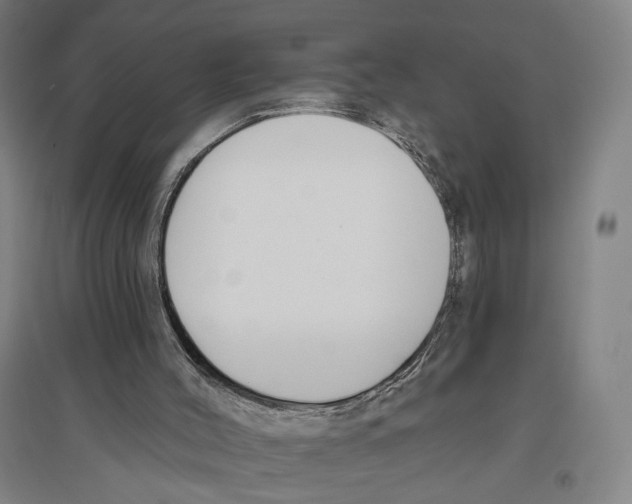 X0000096630004200803041114