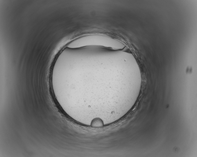 X0000096630006200803041114