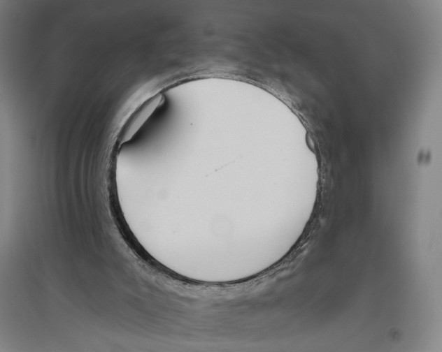 X0000096630007200803041114
