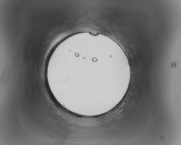 X0000096630008200803041114