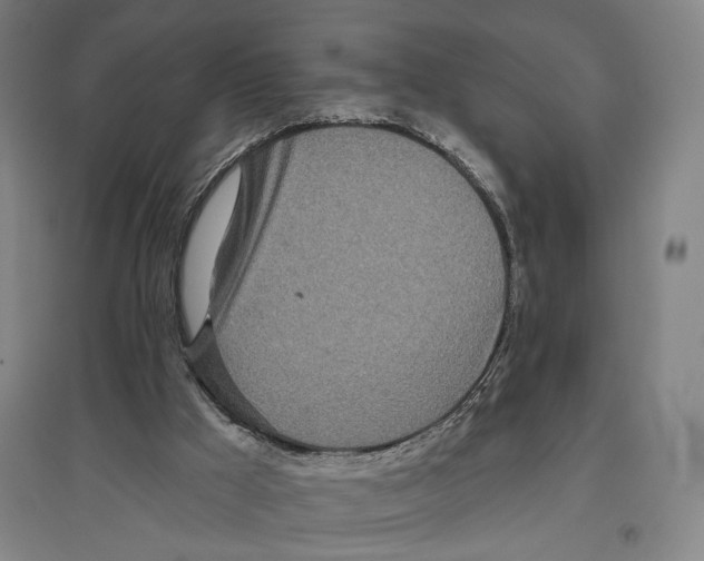 X0000096630009200803041114