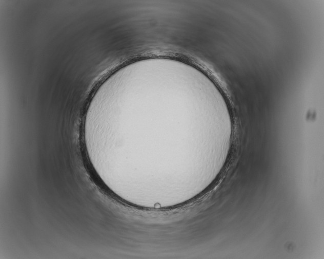 X0000096630010200803041114