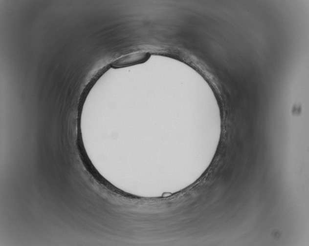 X0000096630011200803041114