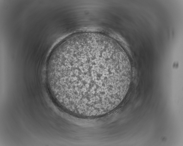 X0000096630012200803041114
