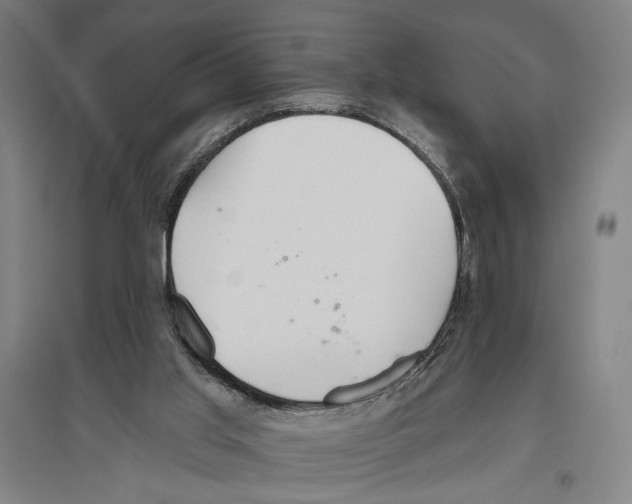 X0000096630013200803041114