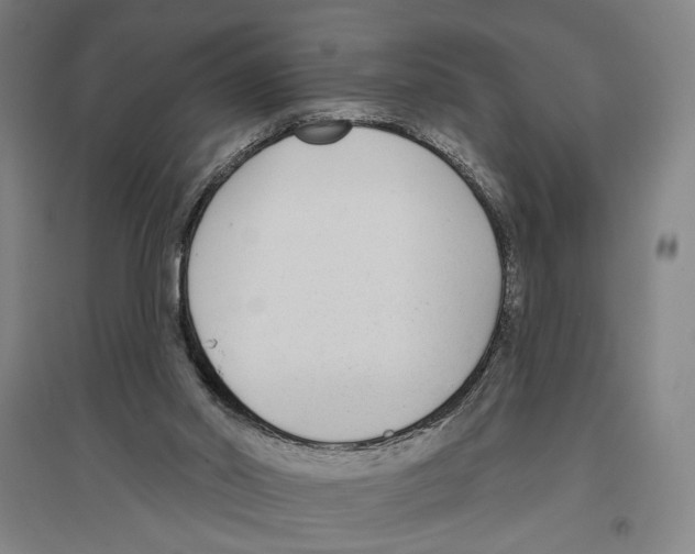 X0000096630014200803041114