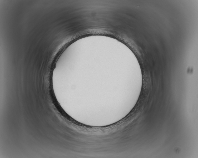X0000096630015200803041114