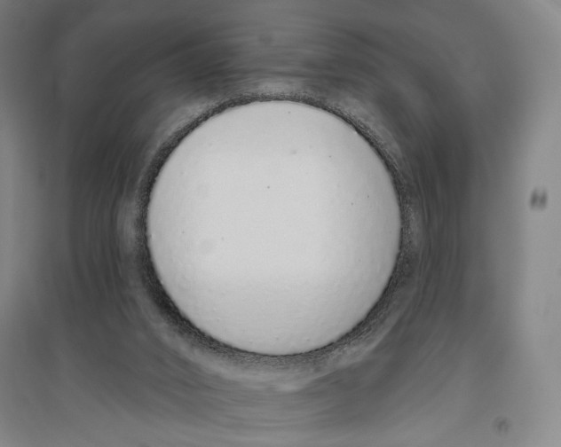 X0000096630016200803041114