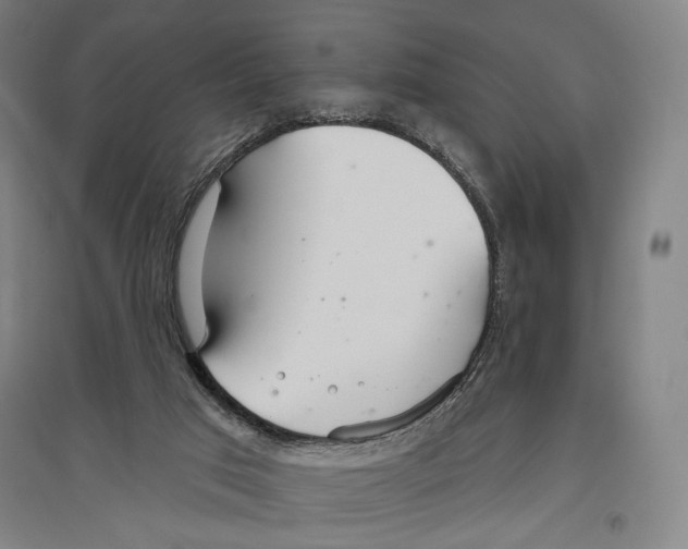 X0000096630017200803041114