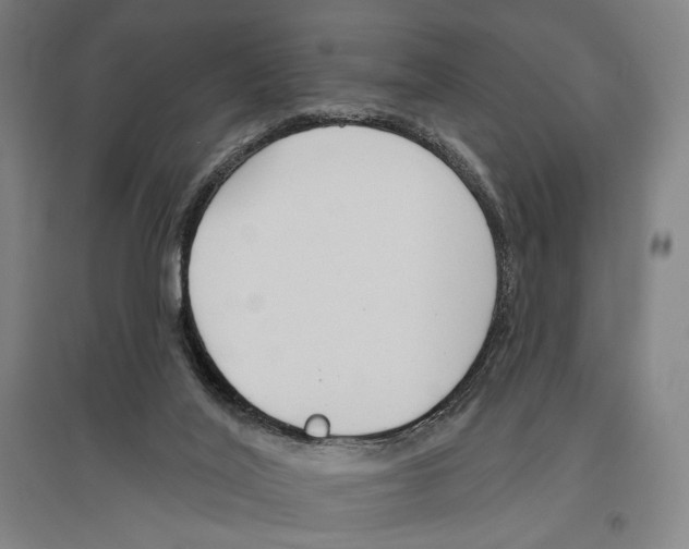 X0000096630020200803041114