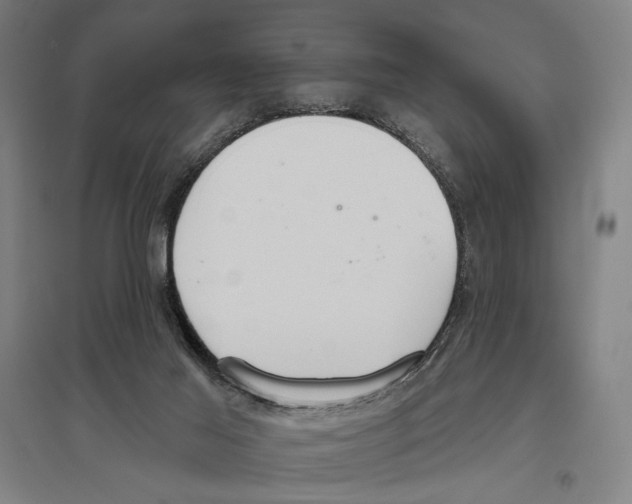 X0000096630021200803041114